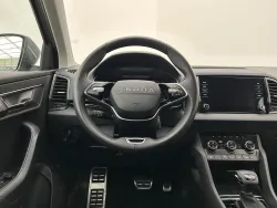 29538079
