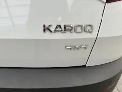 29539159