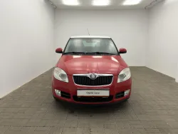 29641051