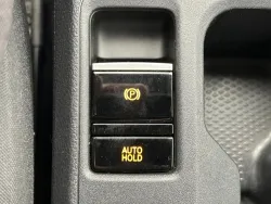 29845207