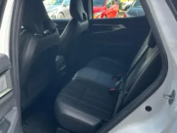 29934641