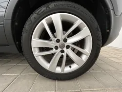 30759036