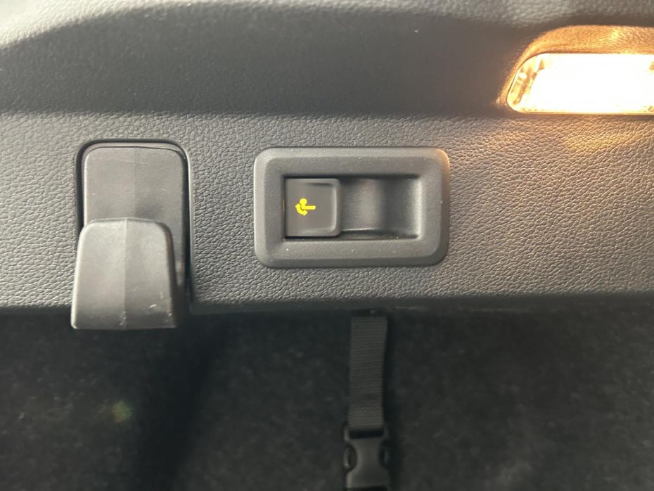 29452736